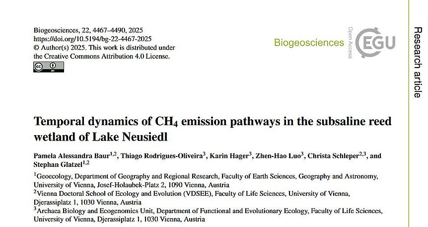 Publikation in EGU Biogeosciences von Baur et al. 2025 über "Temporal dynamics of CH4 emission pathways in the subsaline reed wetland of Lake Neusiedl"