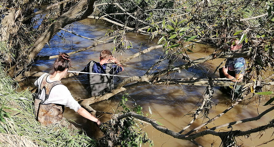 Discharge gauging 