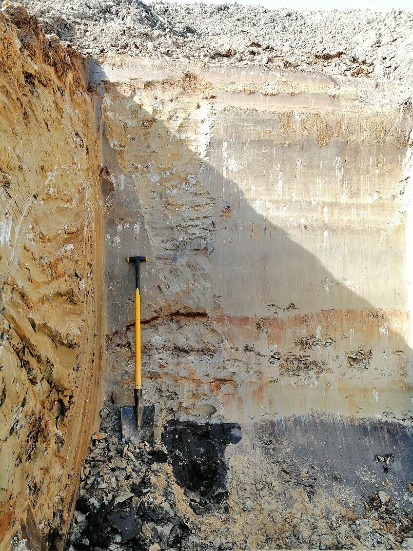 Beim Physiogeographischen Geländepraktikum in Rechnitz (WS 2020) wurde ein Bodenprofil ausgehoben  (c) Raphael Müller