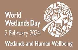 World Wetlands Day - 2 February 2024 - Wetlands and Human Wellbeing