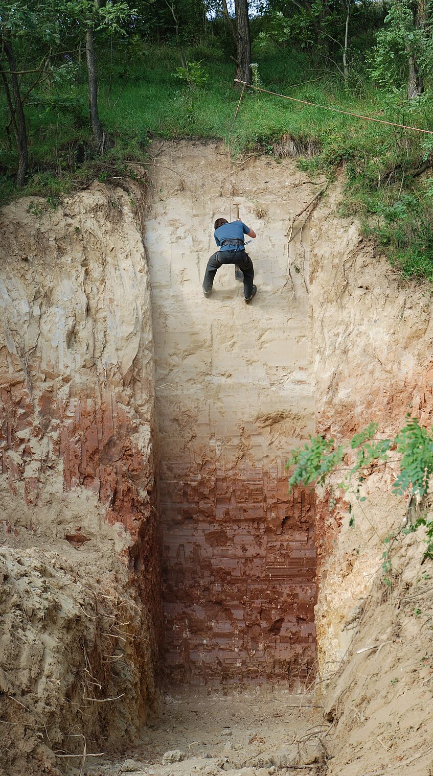 The LPS Stranzendorf with a thick 'tropical' palaeo soil (c) Robert Peticzka