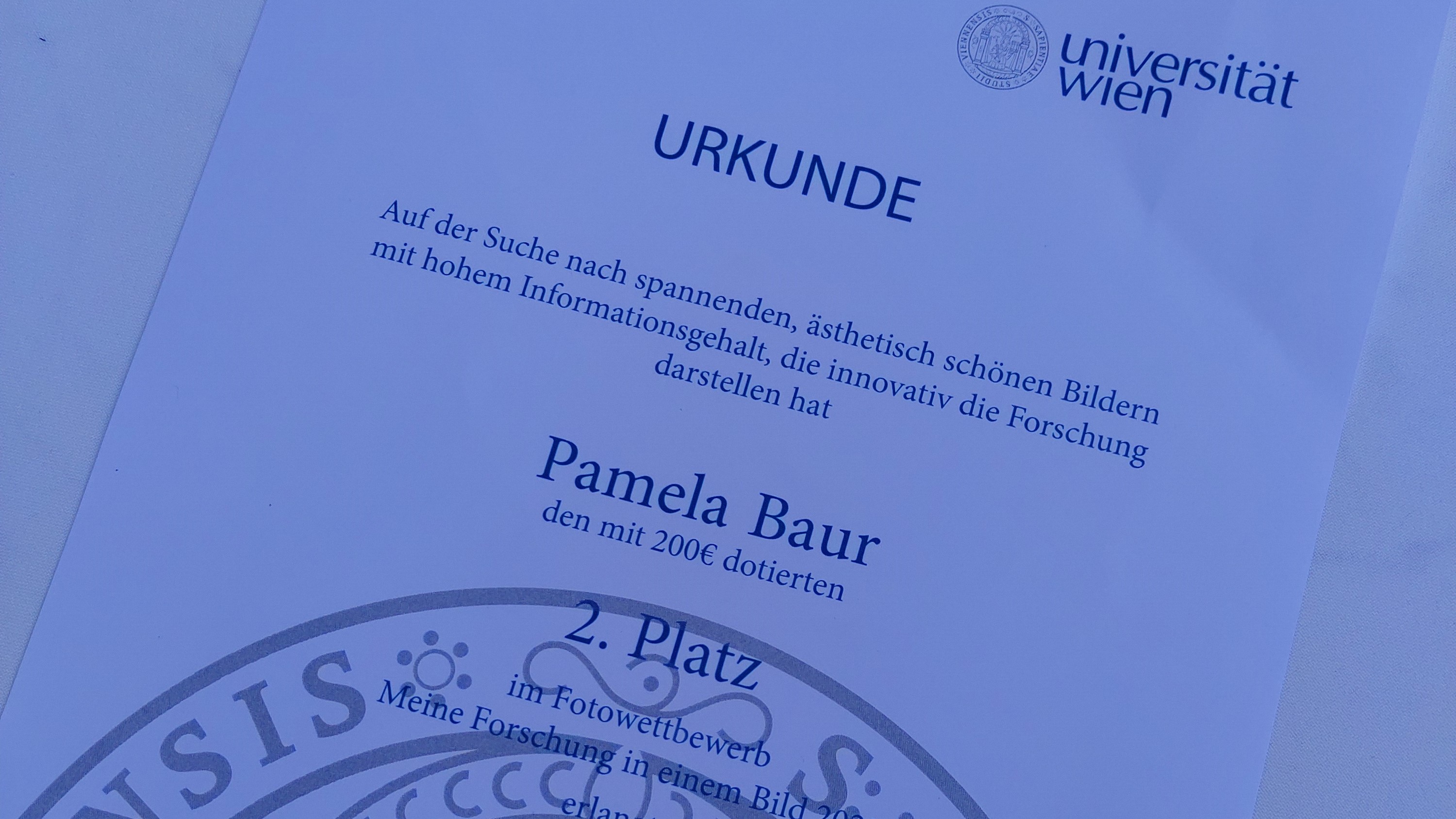Urkunde des zweiten Platzes (c) Pamela Baur